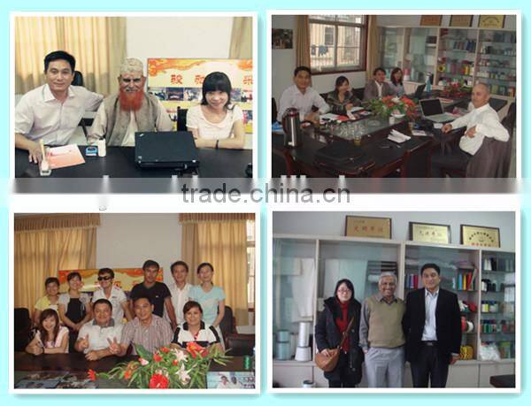 Dope dyed high tenacity polyester twist twine