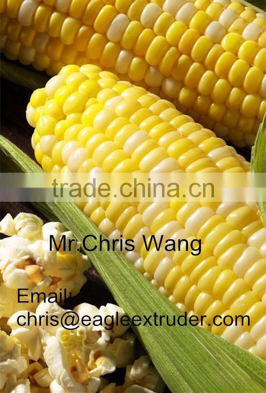 China made cost saving popcorn snack food production line