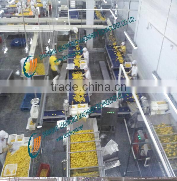 professional and hot sale canned fruit production/processing line yellow peaches cutting machine