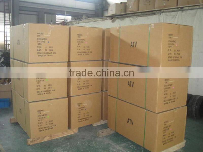 high quality 110cc Automatic sport ATV for kids drive (TKA110-A)