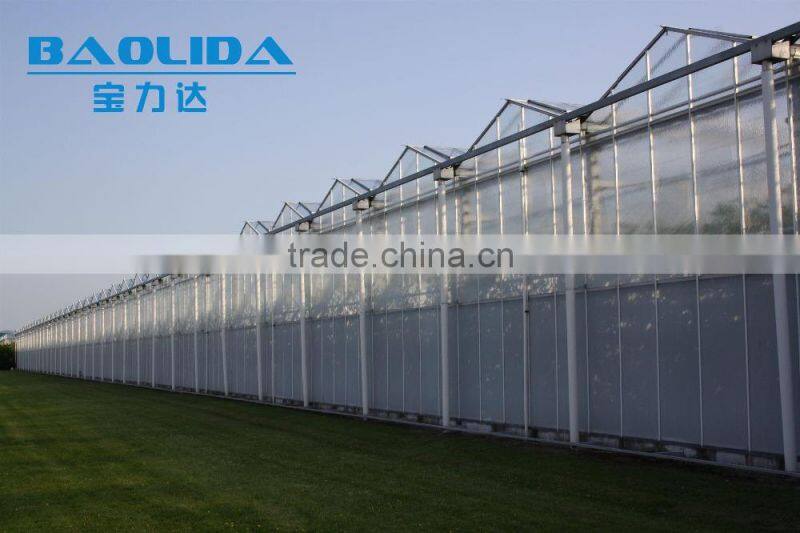 BaoLiDa zigzag large ventilation low cost polycarbonate greenhouse