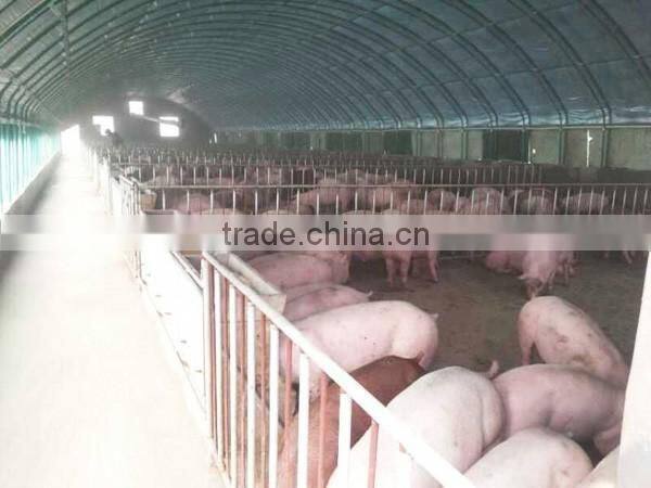 250mm PE Film Covered Single-Span Greenhouse For Cow/Pig Growing