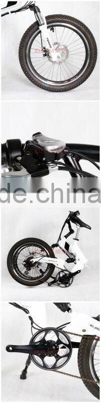 electric bike with LI-ion battary