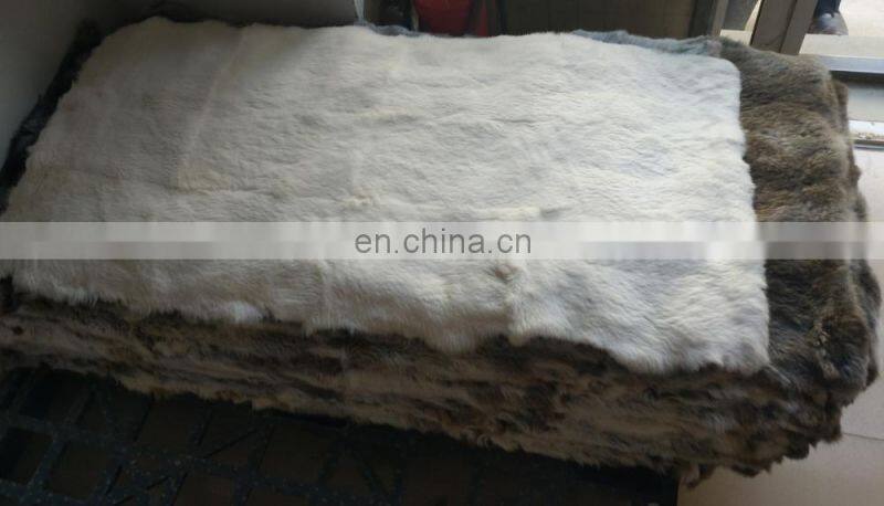 design real rex rabbit fur skin pelts plate