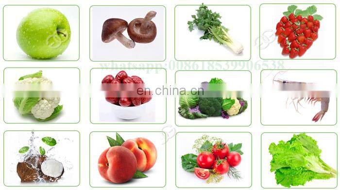 Commercial Ozone Fruit Cleaner Vegetable Washing Machine Manufacturer In India