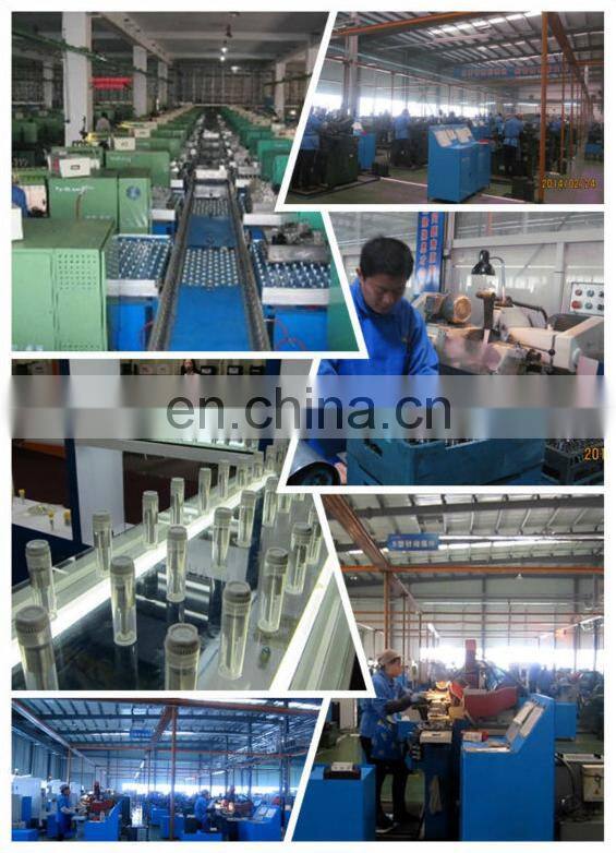 Diesel fuel engine injector 250-1306