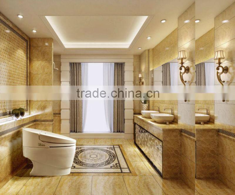 WC toilet auto flush