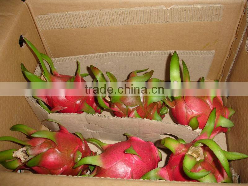 DRAGON FRUIT
