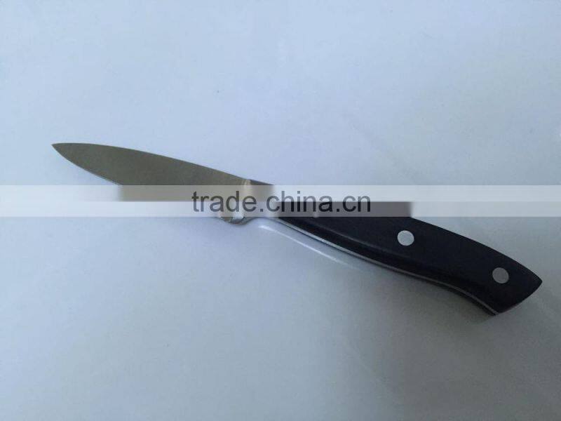 HomeLine Stainless steel fruit knife with POM handle