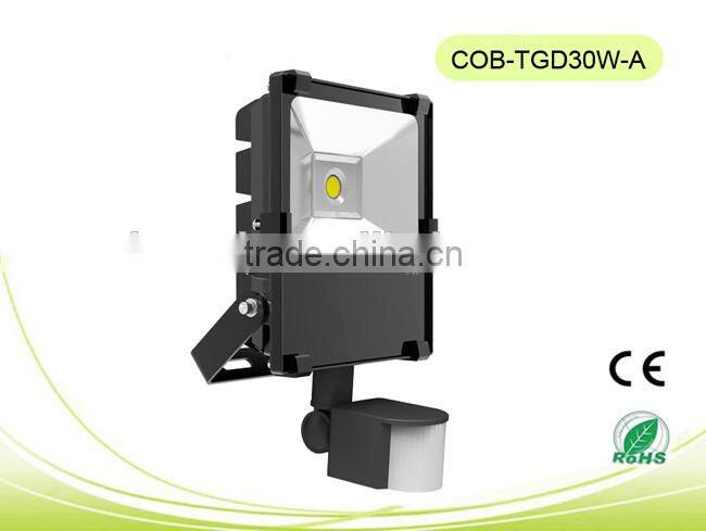 CE&RoHS certificate 150W LED COB Floodlight 1W Series/Tree lighting with Epistar or Bridgelux chips