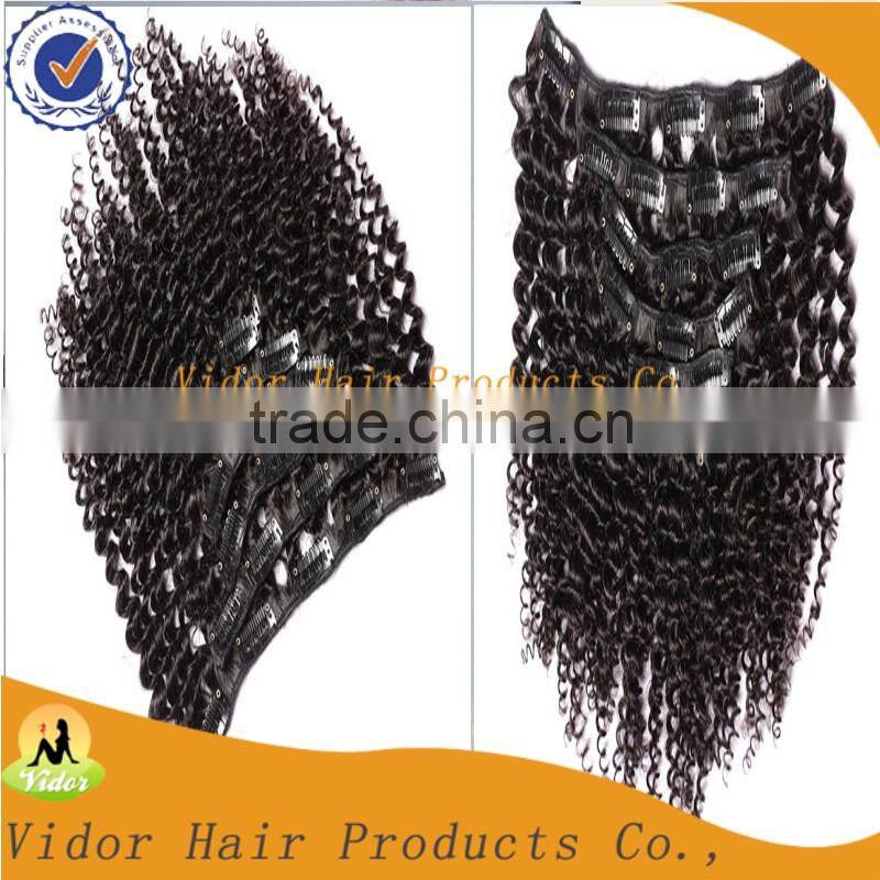Unprocessed Virgin Brazilian Full Cuticle Afro Kinky Curly Clip On Hair Extension