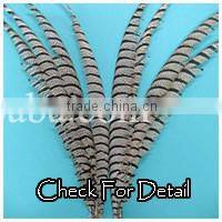 Indian Dance Feather Costume Top Quality Feather Costume