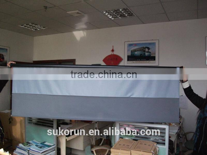 window sunshades for cars