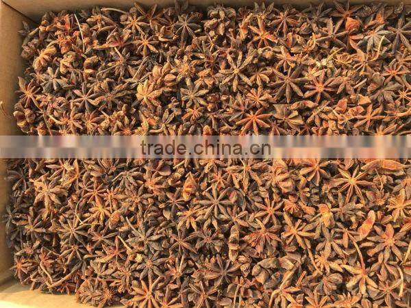 New crop 2015 star aniseed