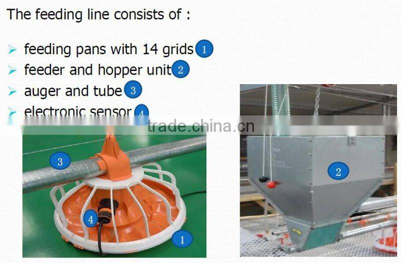 poultry farm ground raising chicken broiler equipment