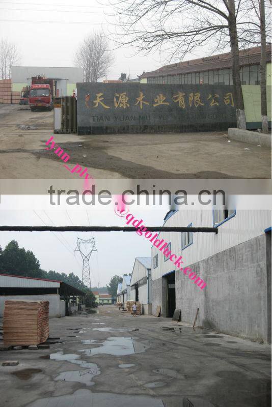 High quality of 12mm marine plywood