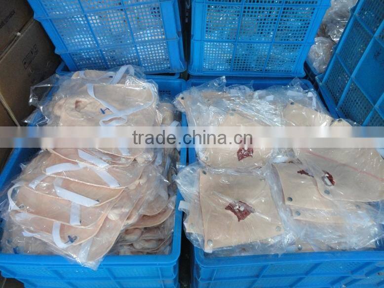 Trachea Intubation Training Model/teaching-use model/realia/manikin