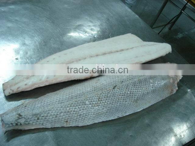 frozen fresh oil fish rough skin