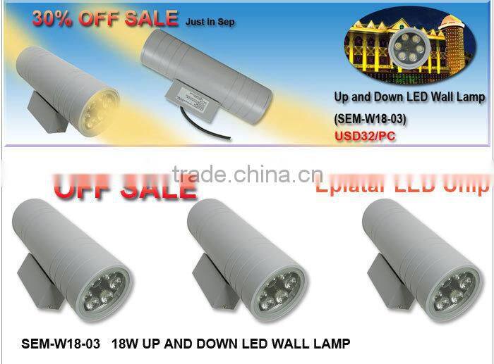 Fashionable Customize SMD LED Wall Light