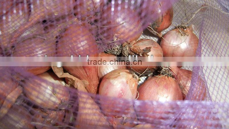 fresh onion