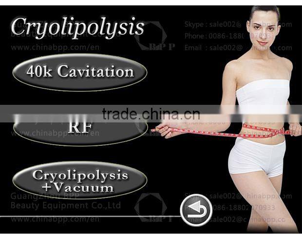 Wholesale portable lipo reduction ice therapy weight loss
