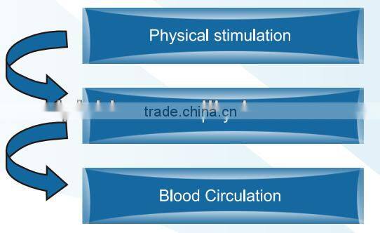 magnetic pulse therapy multipolar radio frequency skin firming lipo slimming machine-PEMF Shape II