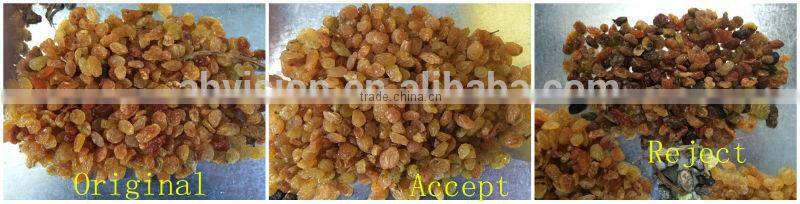 5000+pixel multifunctional Iranian raisin processing machine/snack sorting machine