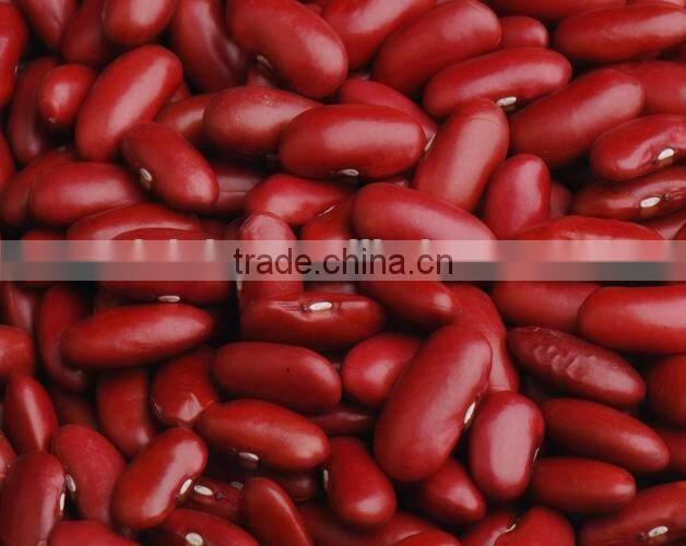 British type red kidney beans