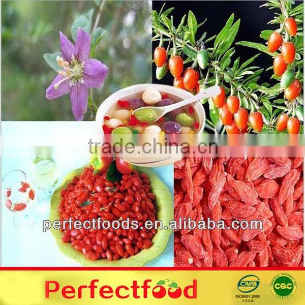bulk goji berries