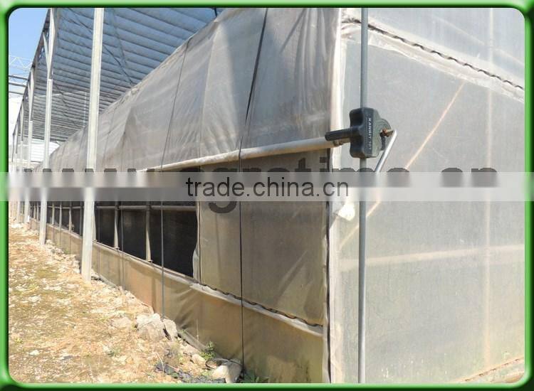umbrella tree growing greenhouse for sale in China
