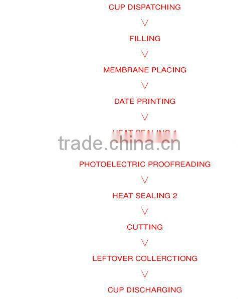 Kangling Machinery Filling Sealing Machine for Semi-Fluid Foods