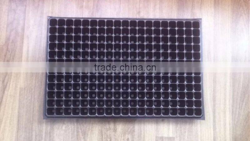 288 cell biodegradable plant growing tray, 540*280mm, 35mm depth