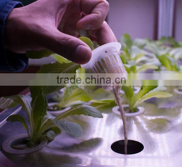 5cm PP Plastic Mesh Cups Aquaponic system Black net Planting pots