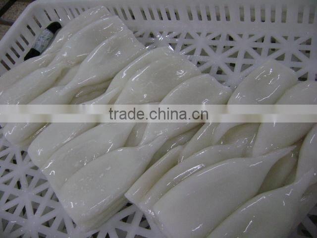 frozen seafood illex squid ring