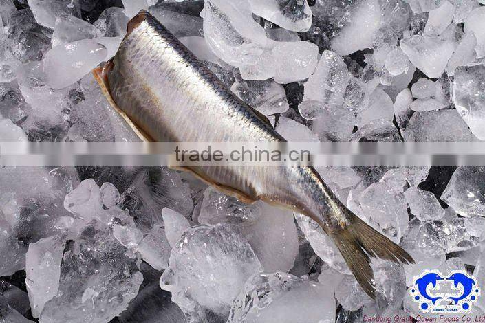 frozen fish herring fillet