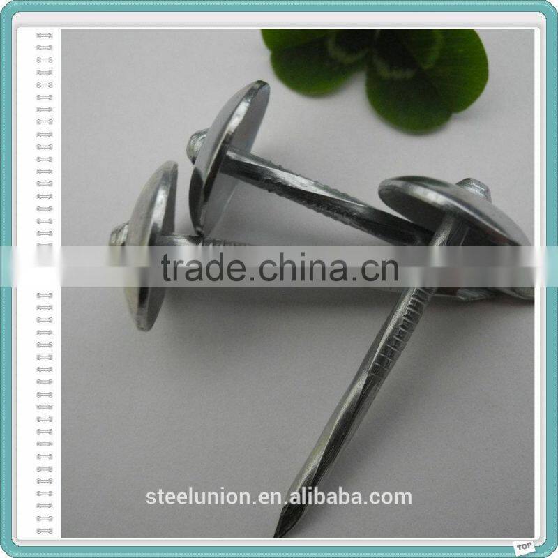 Hot Supply Galvanized Umbrella Head Roofing Nails