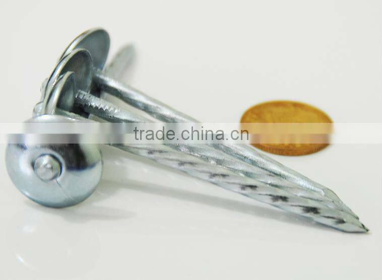 galvanized roofing nails price