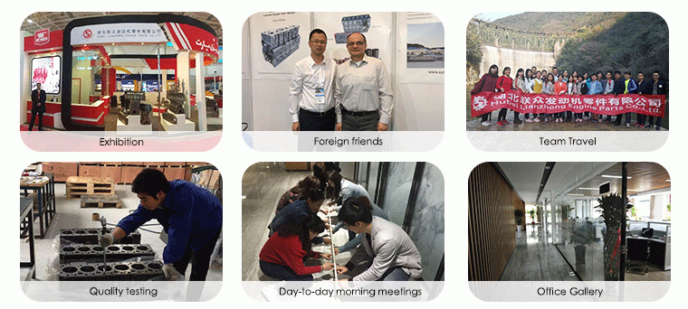 Motor 6CT Diesel engine part truck spare part Camshaft 3923478