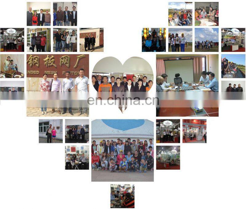 Decorative Aluminum metal mesh