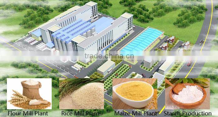 Turnkey project full automatic wheat starch line