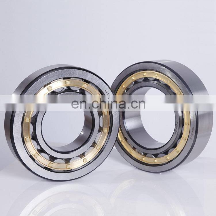 Hot Selling Factory Price Silver NU216 Double Row Cylindrical Roller Bearing Carbon RN309