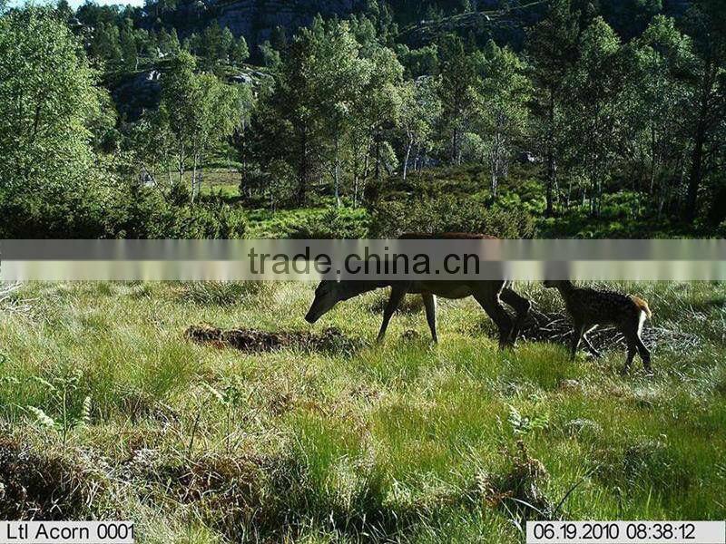 Ltl Acorn 6210MM HD antenna Hunting Game Cameras with GSM GPRS