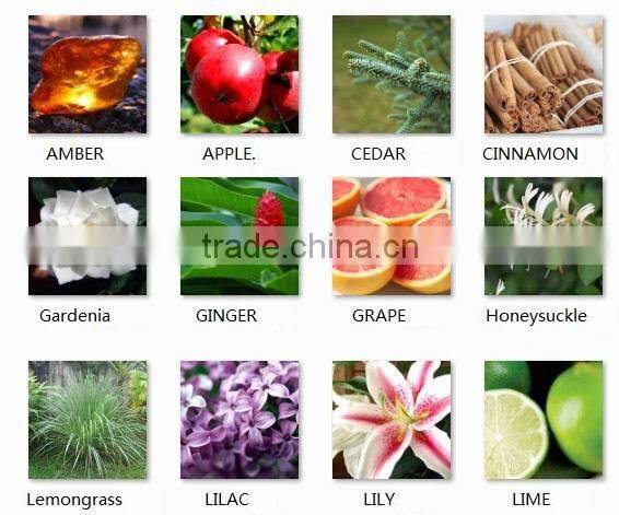 100ml ceramic aroma diffuser/aroma reed diffuser /home fragrance diffuser