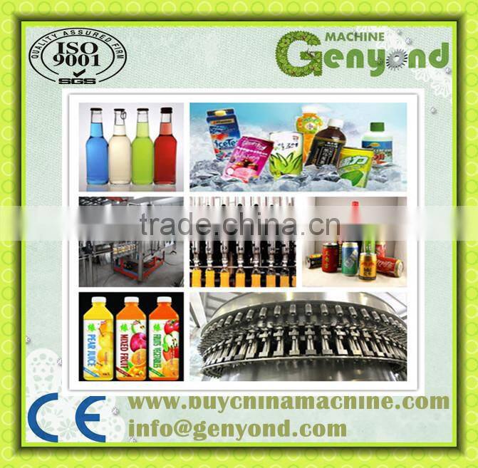 Bottled Fruit Juice Production Line/Equipment with factory price