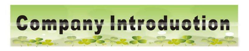 2015 Best selling Deluxe Business card sample cheap price on sale