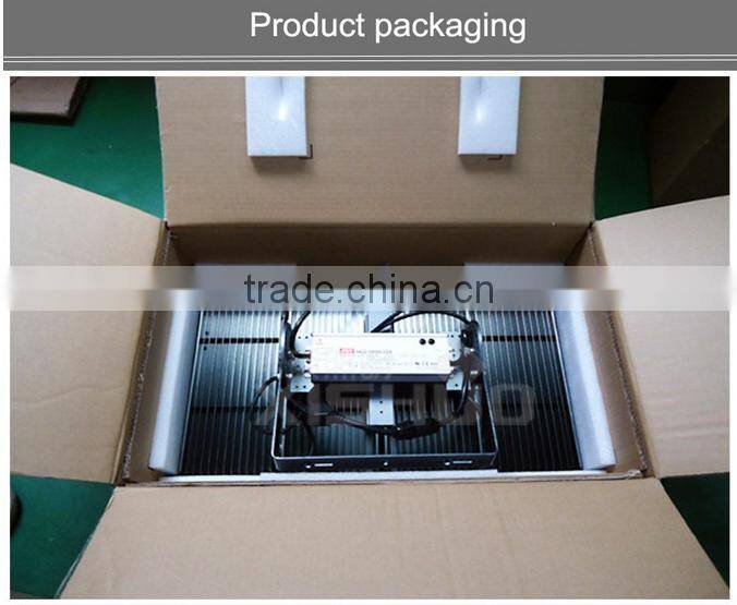 High quality 60w IP65 High light efficiency,MW Driver LED tunnel light,projector, floodlight,module