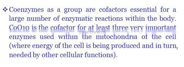 CoEnzyme Q10 100