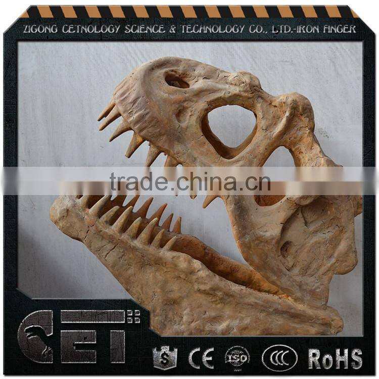 Hot sale high quality dinosaur skeleton model simulated dinosaur skeleton