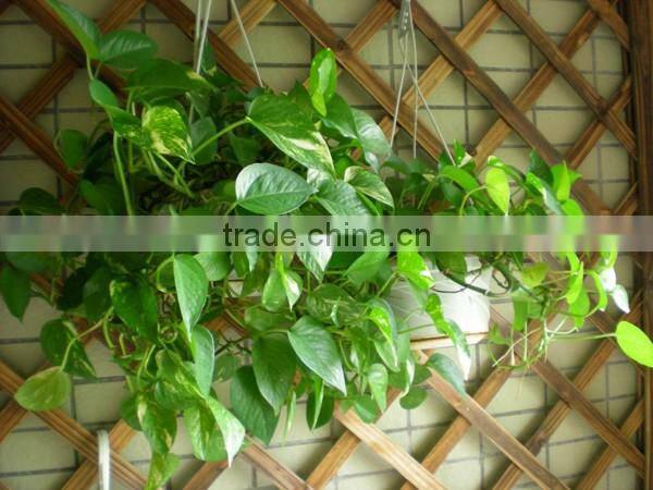 Shop/Home /Office Decor Small Artificial Plant Scindapsus Araceae