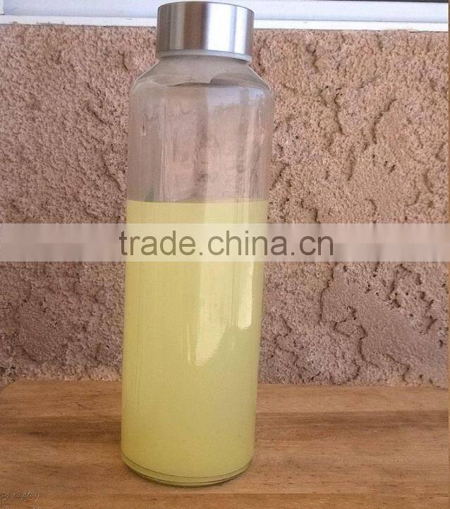 Glass Water Bottles 16 oz, Stainless Steel Cap - Case of 6